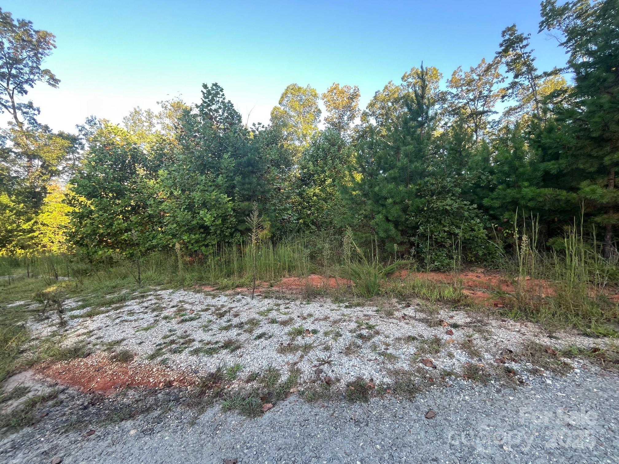 120 Squirrel Hollow Drive Marion NC 28752