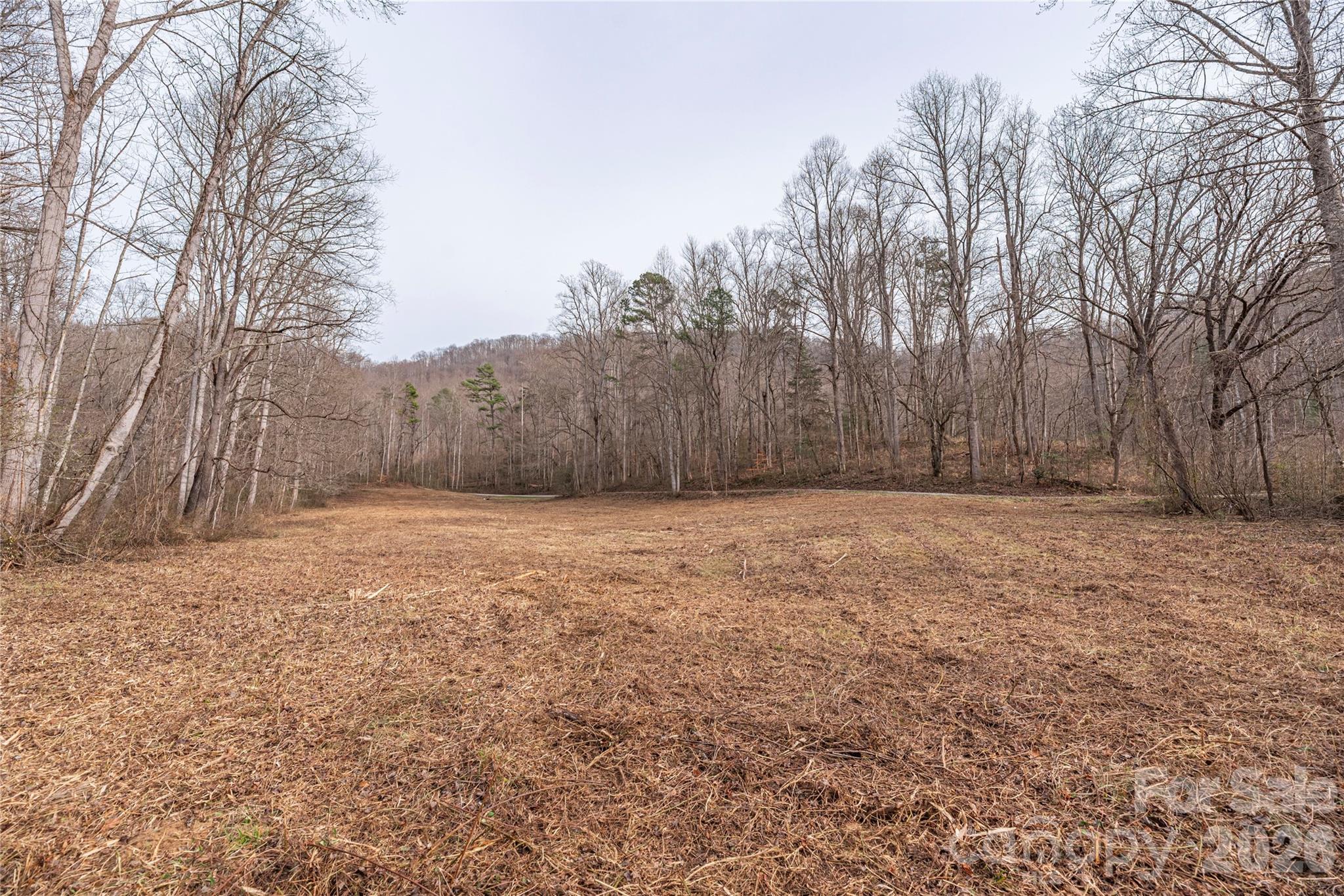 00 Carver Mountain Valley Sylva NC 28779