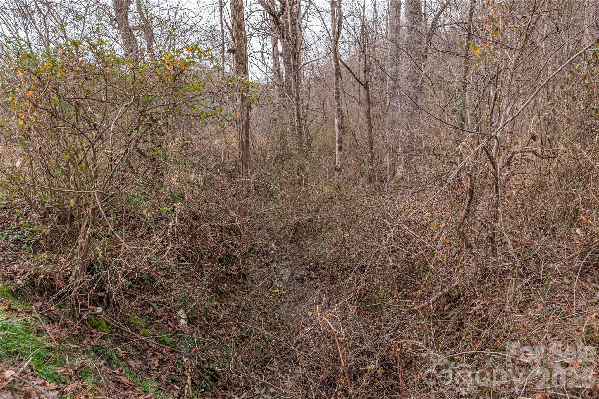 00 Carver Mountain Valley Sylva NC 28779