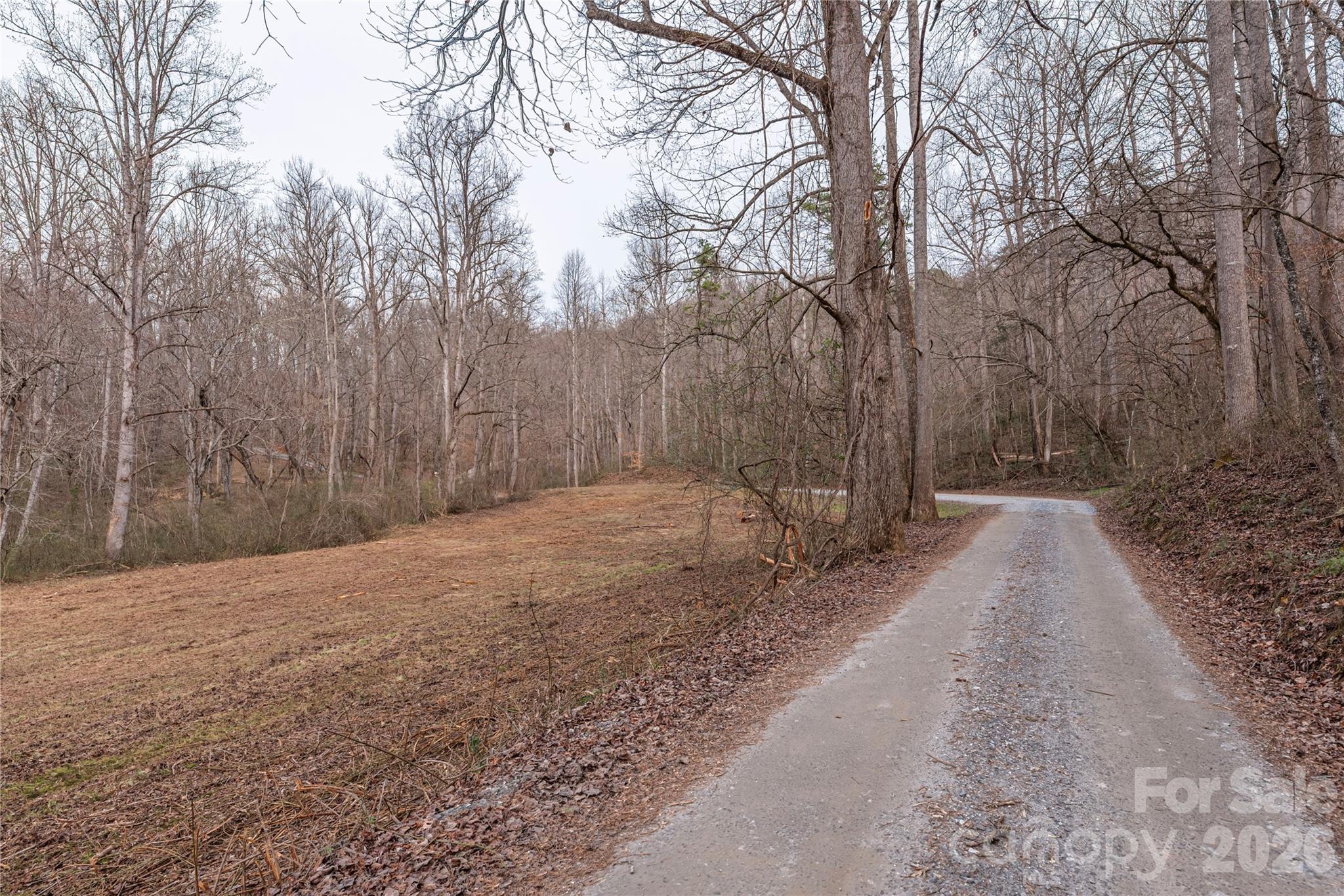 00 Carver Mountain Valley Sylva NC 28779