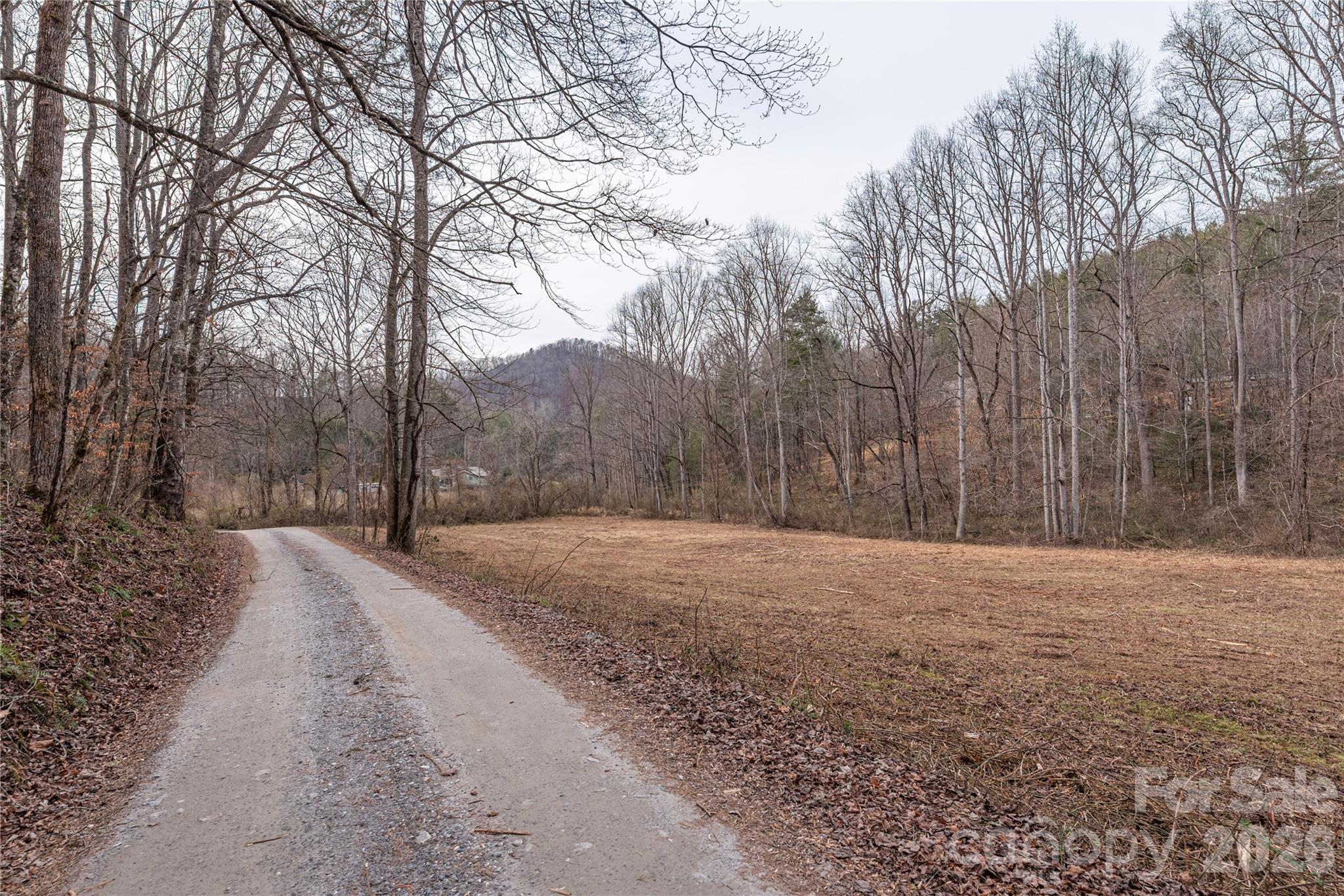 00 Carver Mountain Valley Sylva NC 28779