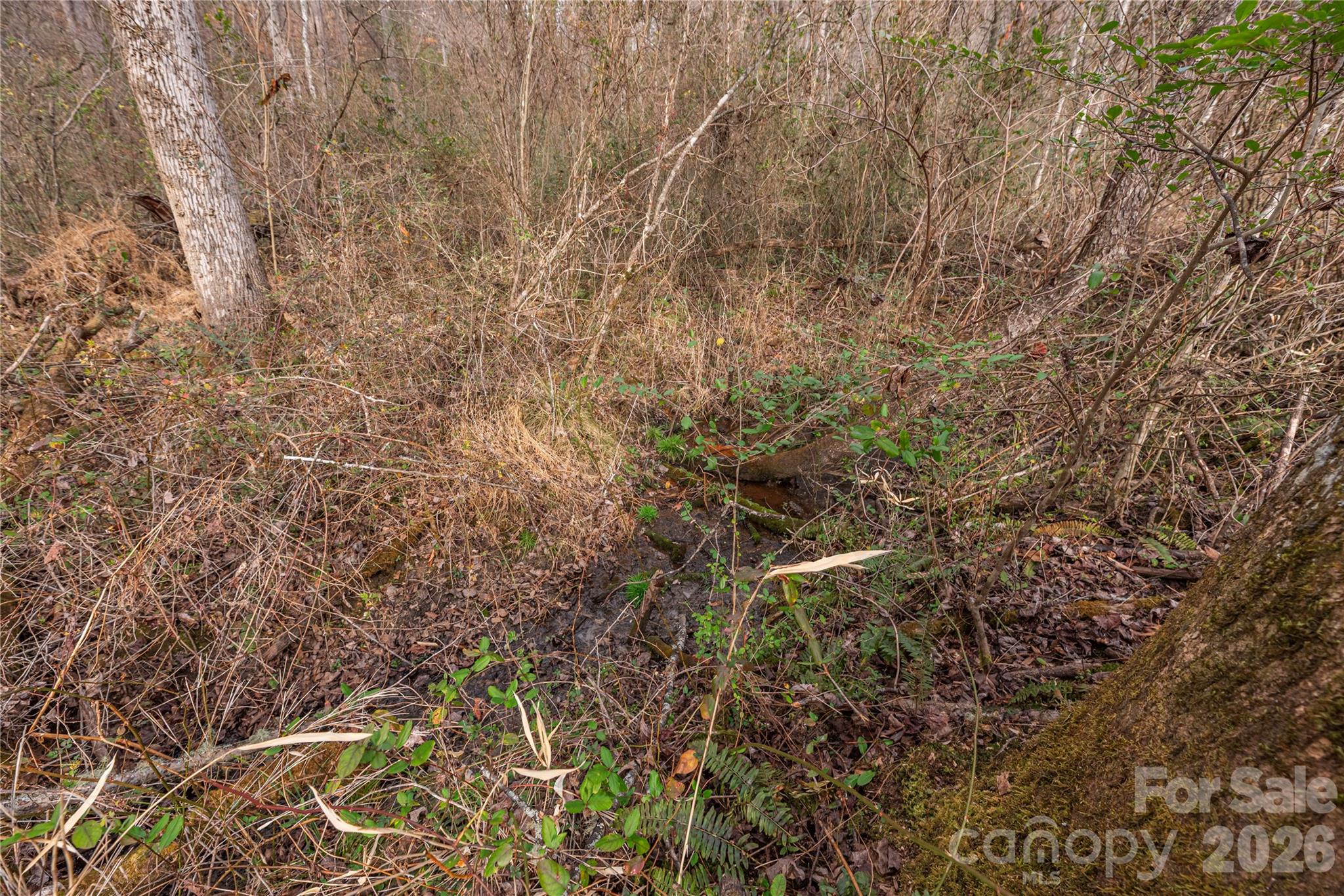 00 Carver Mountain Valley Sylva NC 28779