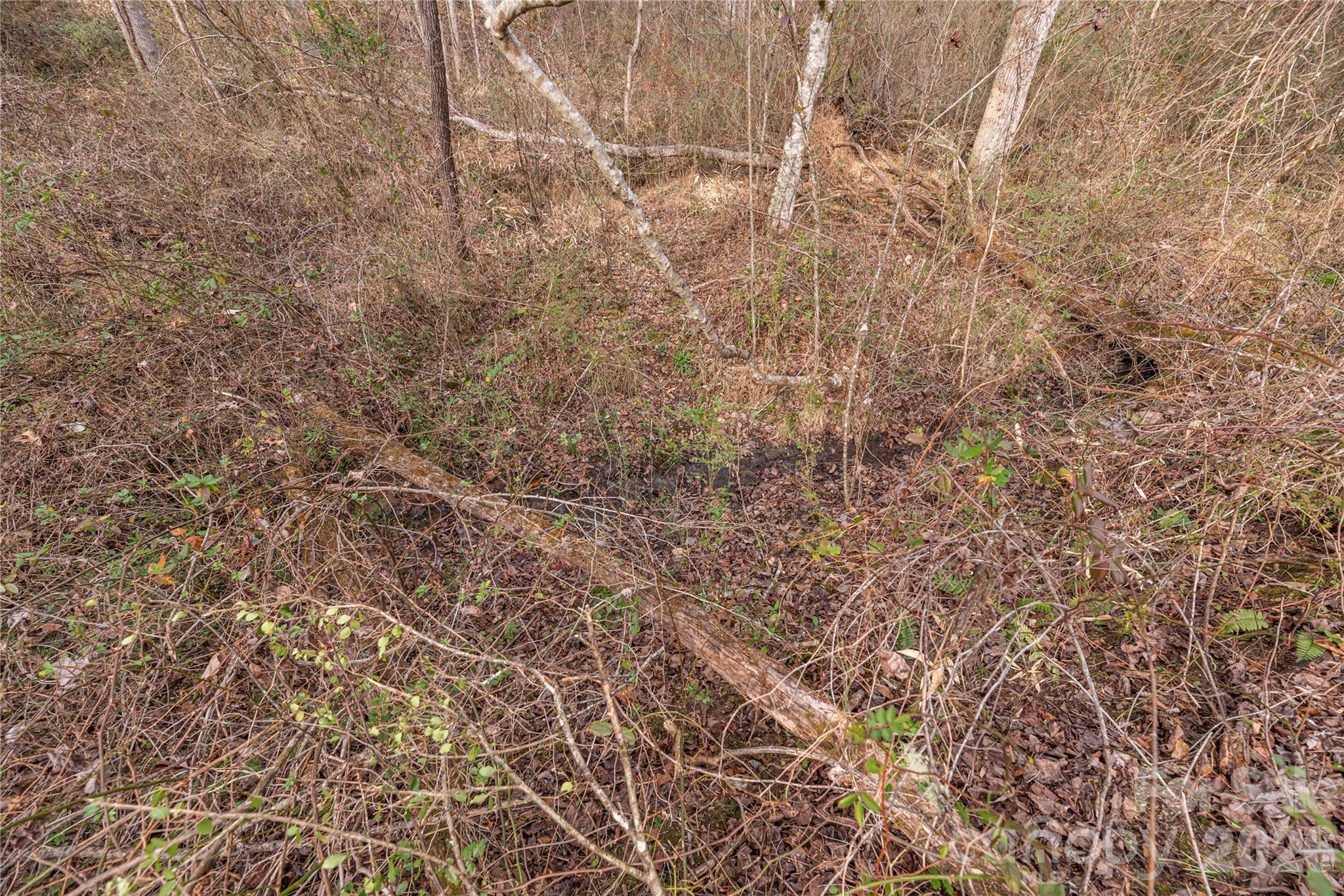 00 Carver Mountain Valley Sylva NC 28779