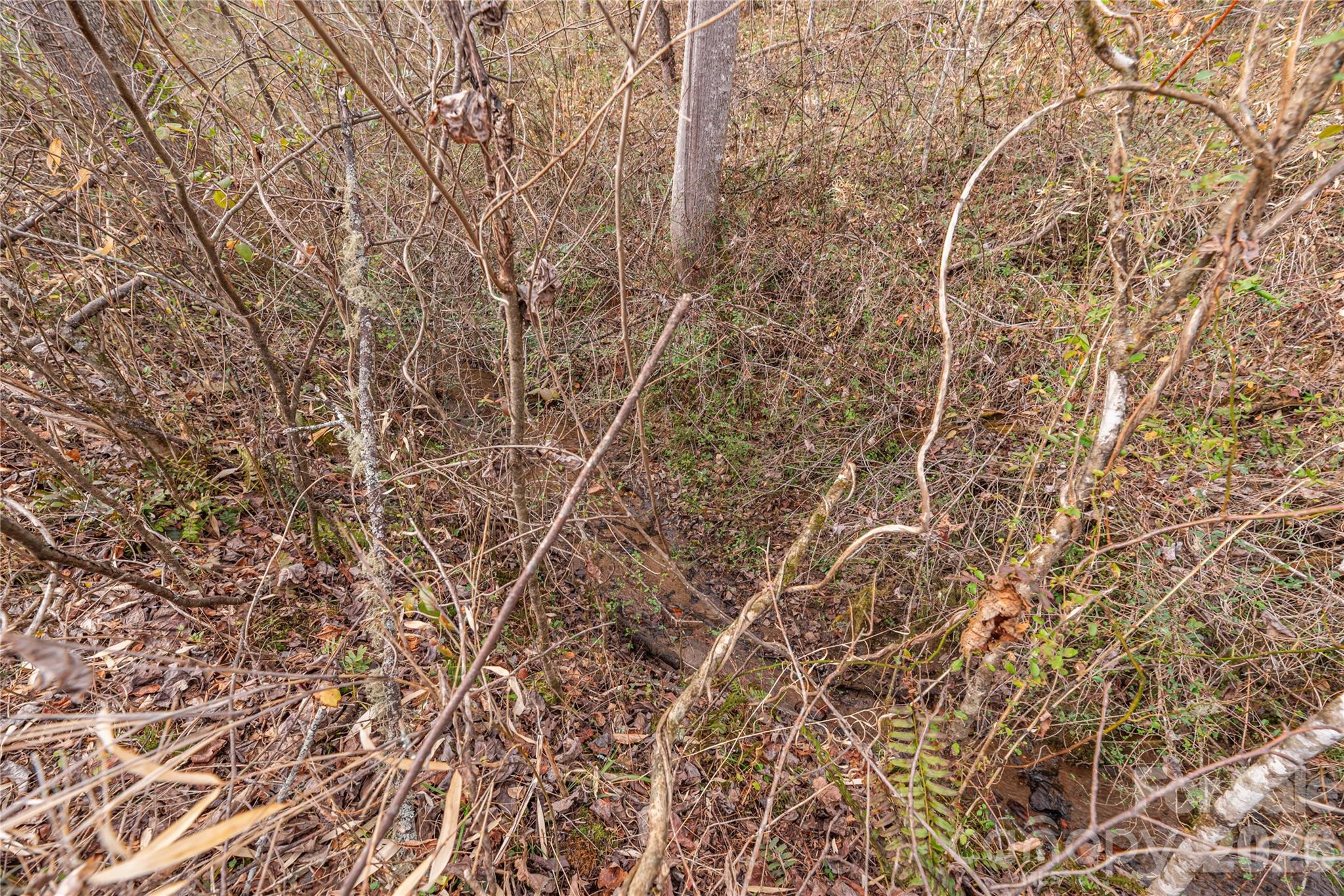 00 Carver Mountain Valley Sylva NC 28779