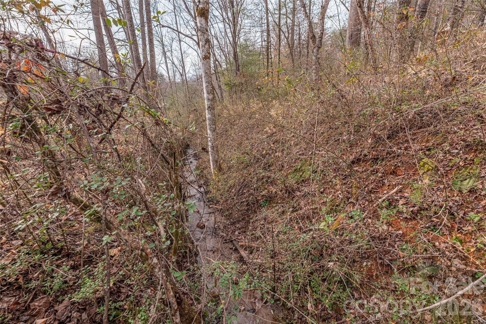 00 Carver Mountain Valley Sylva NC 28779