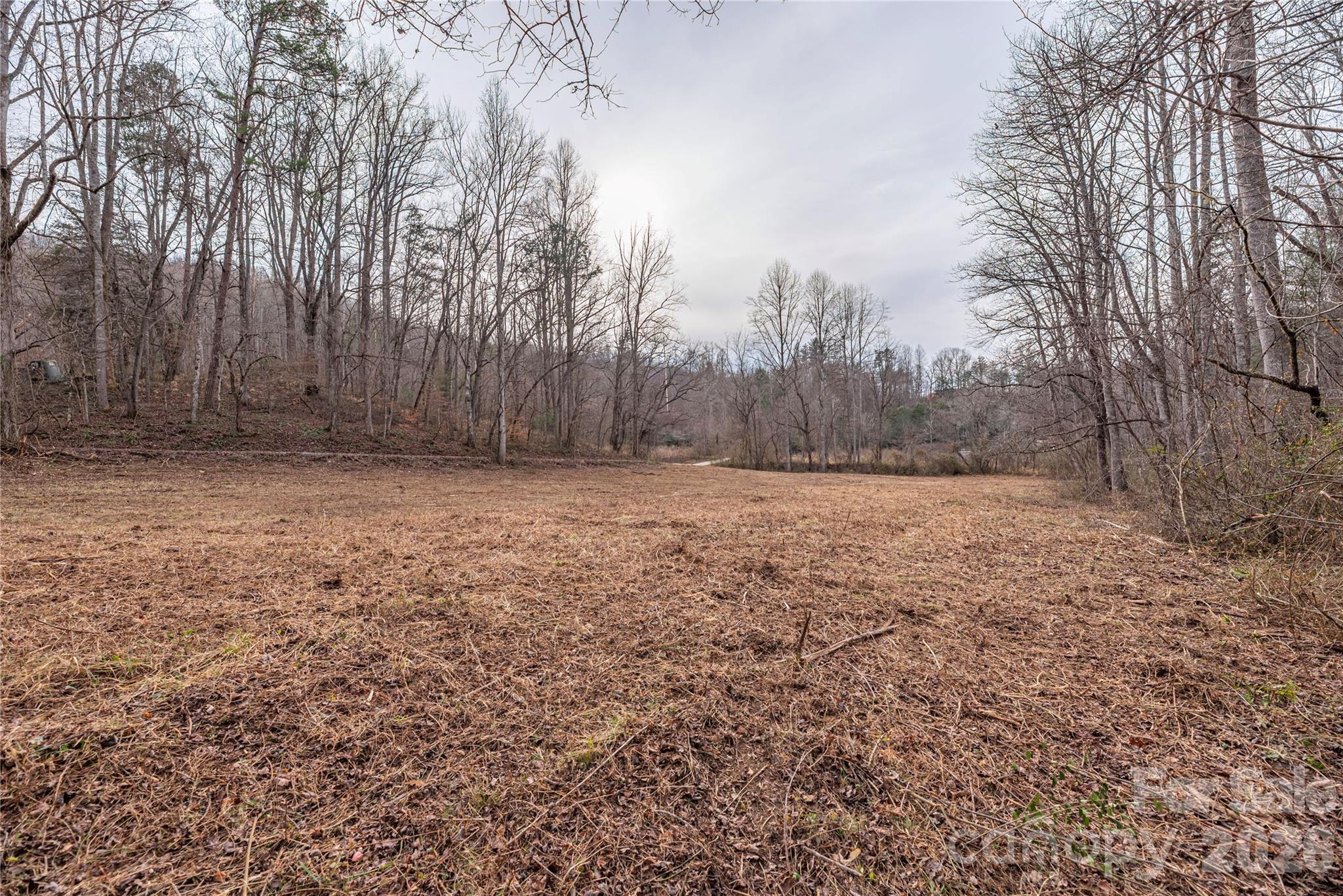 00 Carver Mountain Valley Sylva NC 28779