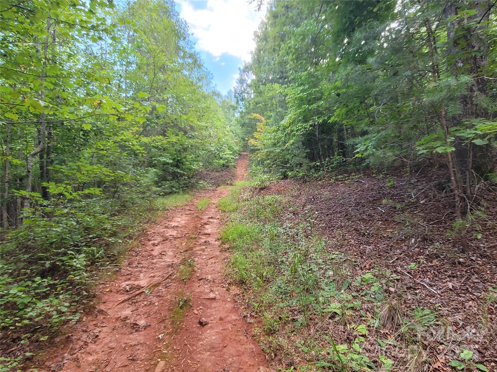 0 Big Level Road Mill Spring NC 28756