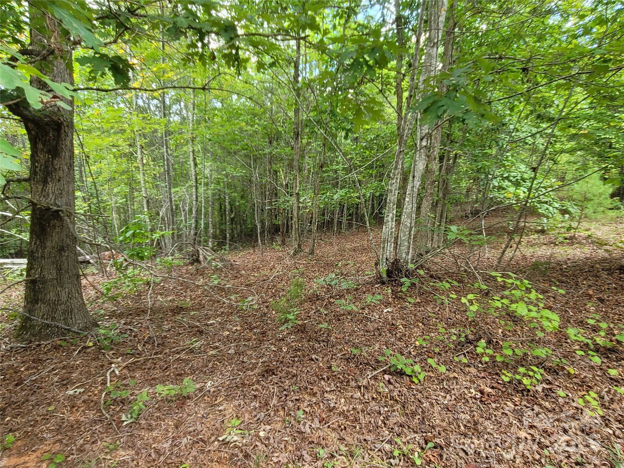 0 Big Level Road Mill Spring NC 28756
