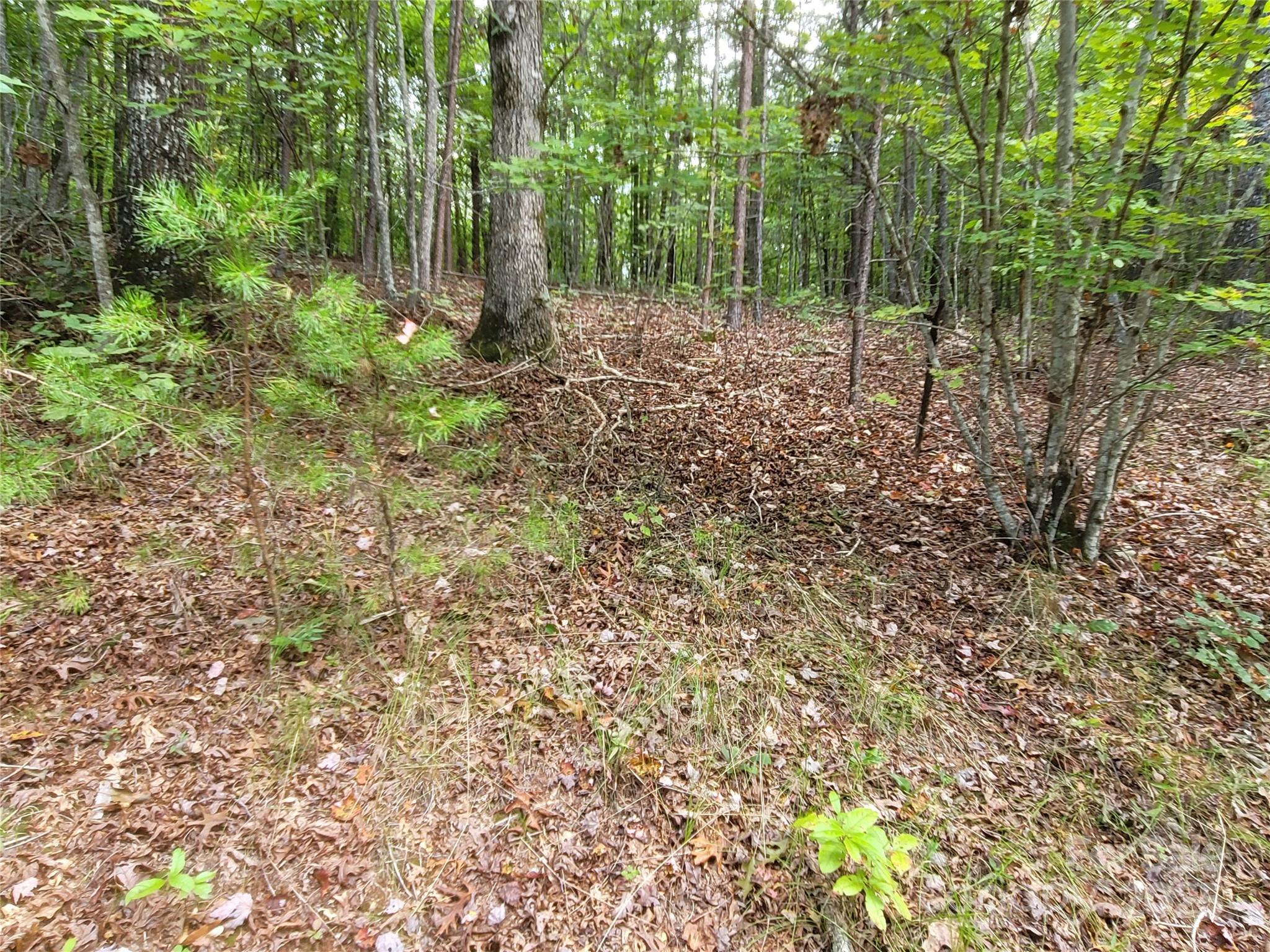 0 Big Level Road Mill Spring NC 28756