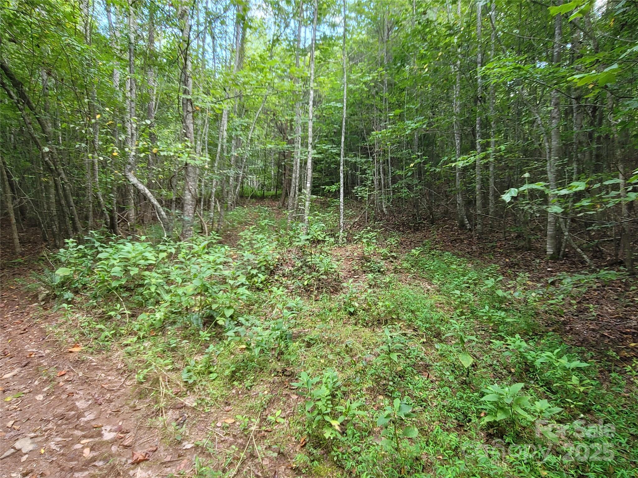 0 Big Level Road Mill Spring NC 28756