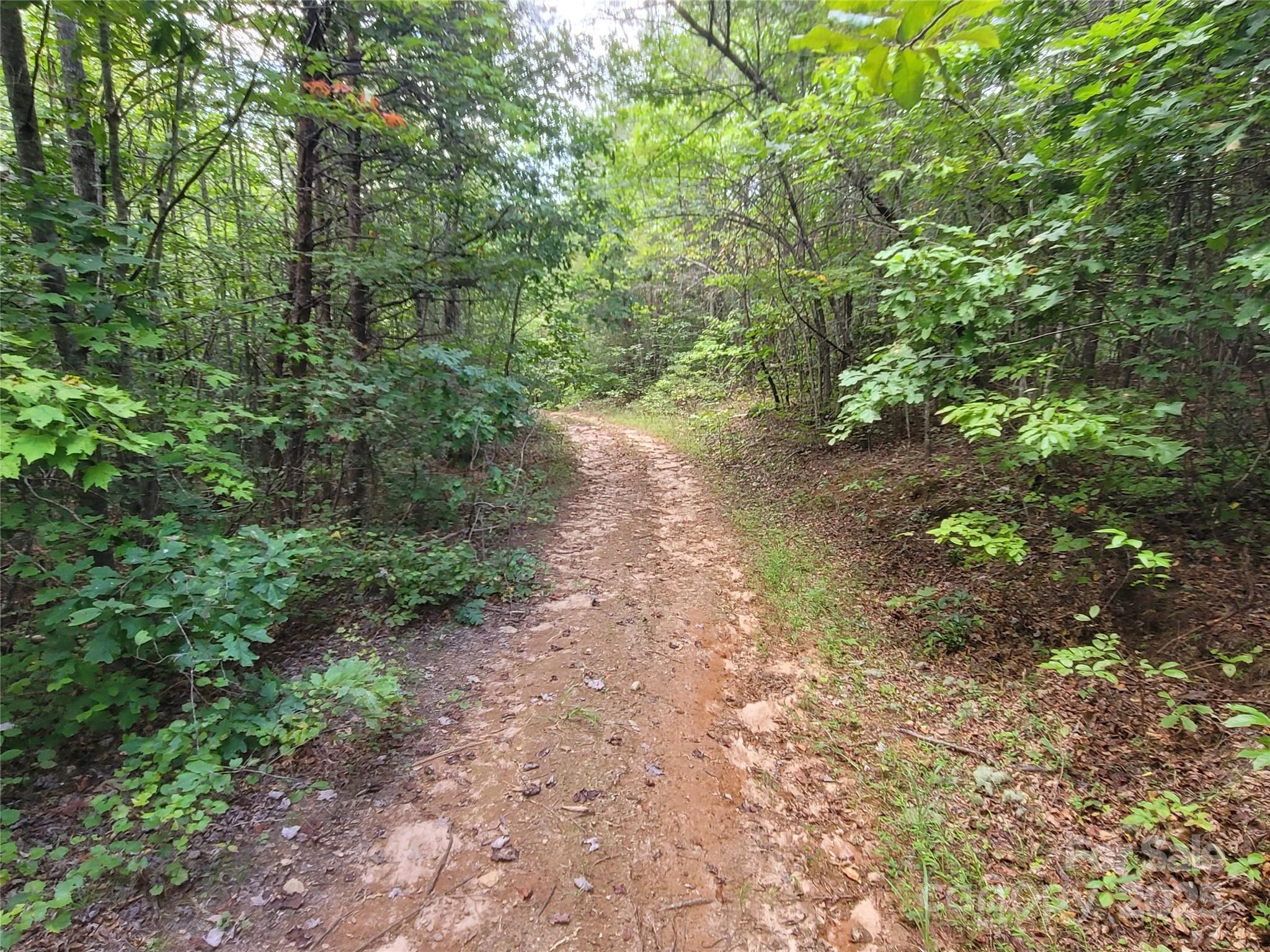 0 Big Level Road Mill Spring NC 28756