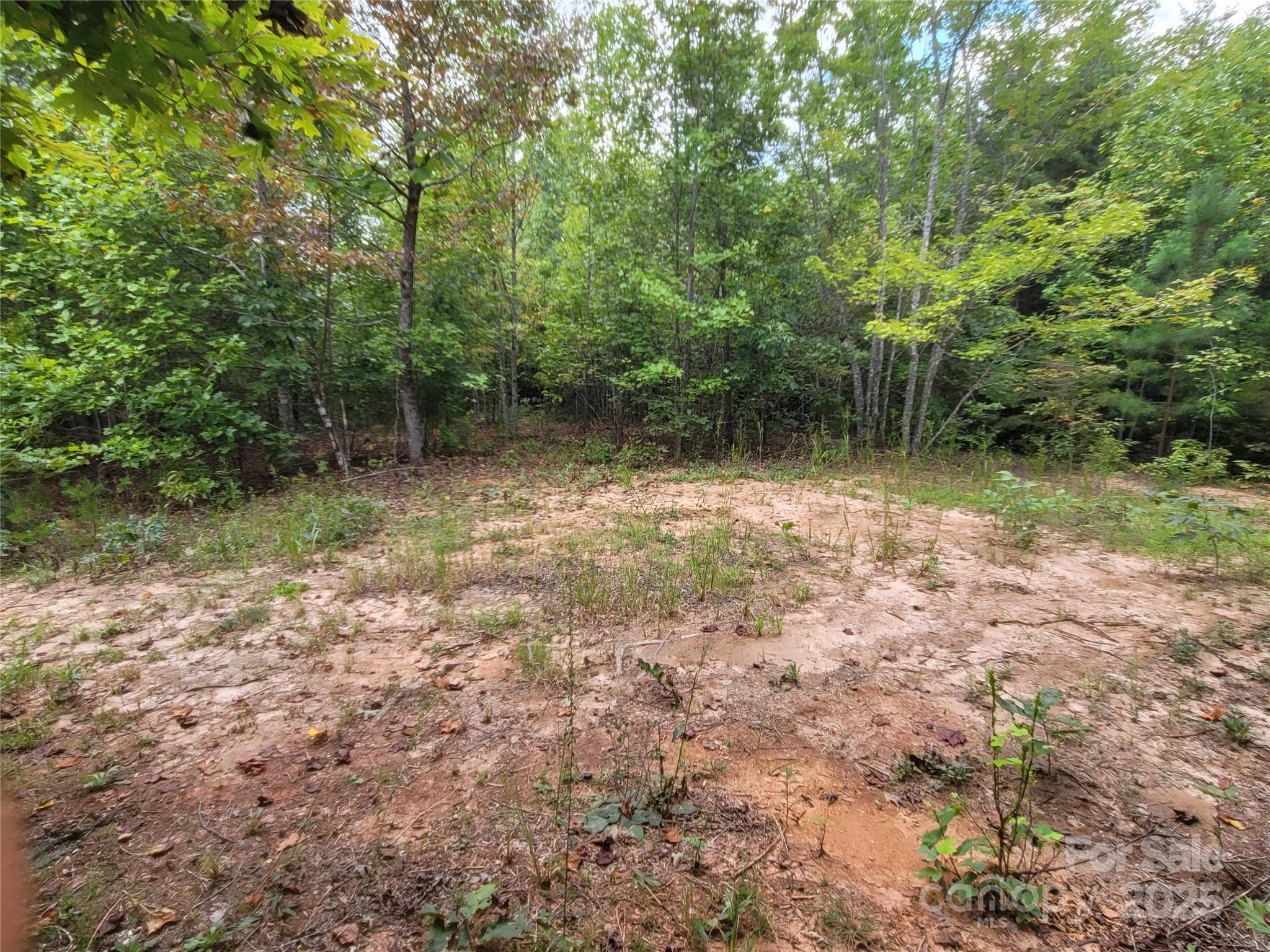 0 Big Level Road Mill Spring NC 28756