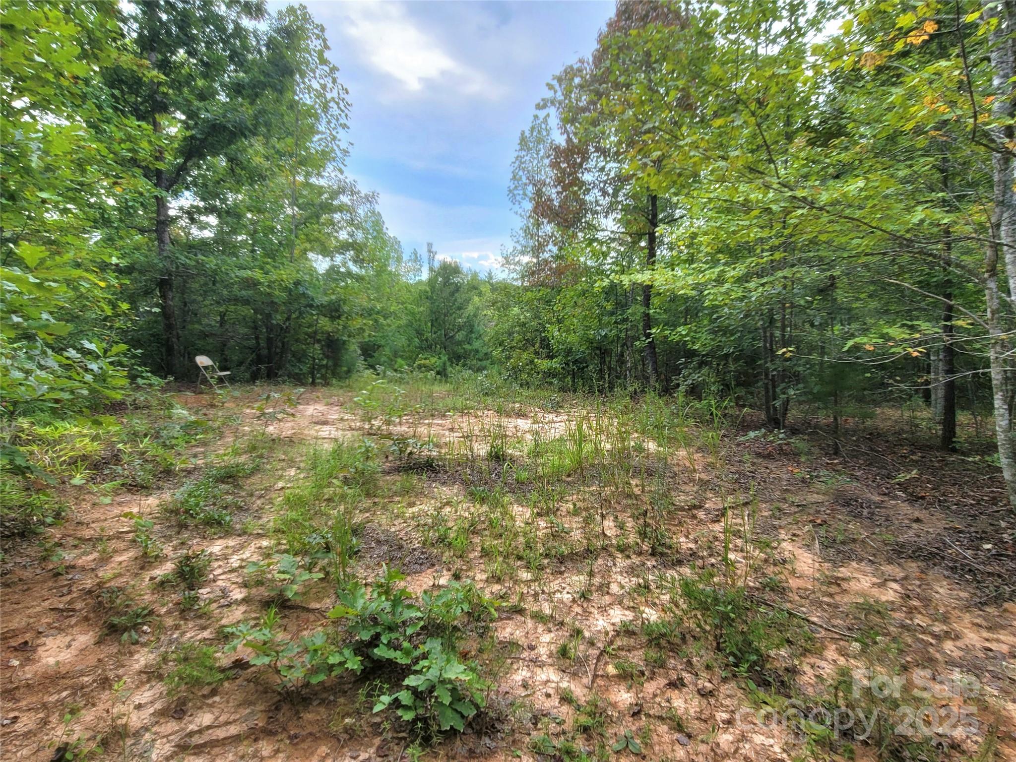 0 Big Level Road Mill Spring NC 28756