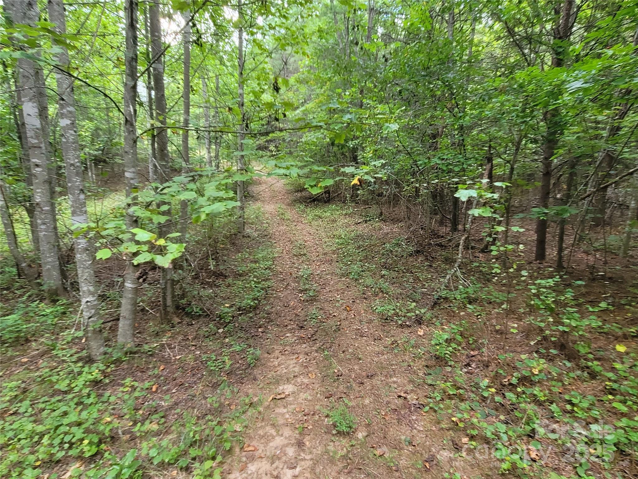 0 Big Level Road Mill Spring NC 28756