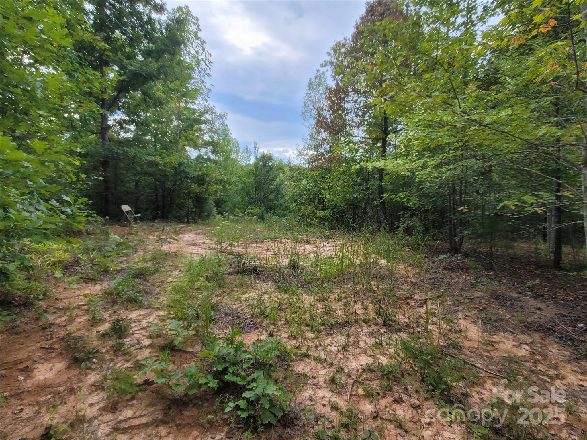 0 Big Level Road Mill Spring NC 28756