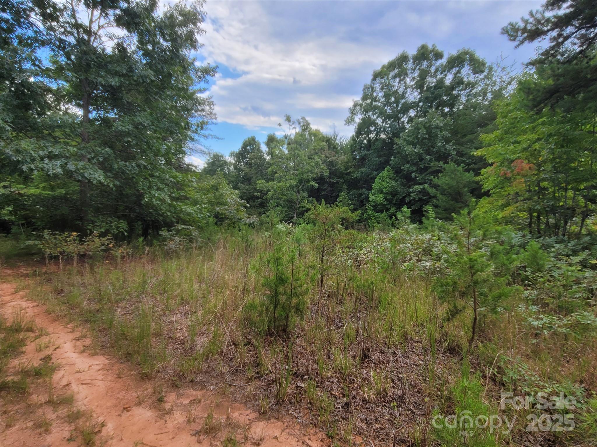 0 Big Level Road Mill Spring NC 28756