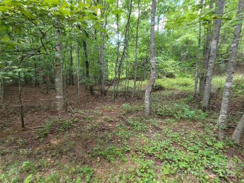 0 Big Level Road Mill Spring NC 28756