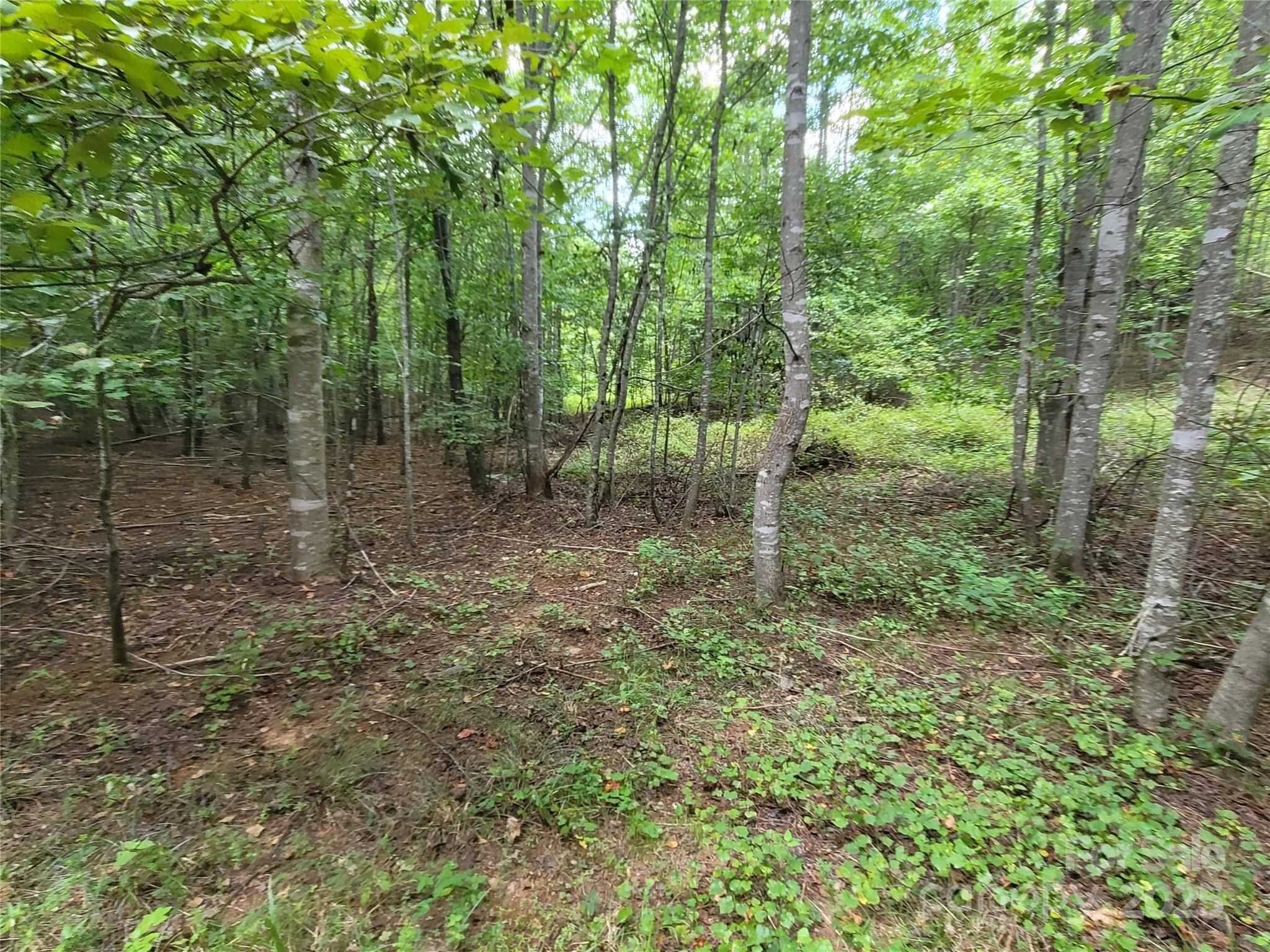 0 Big Level Road Mill Spring NC 28756
