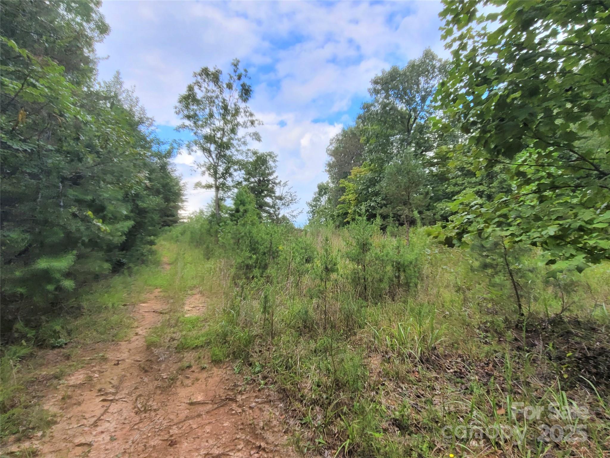 0 Big Level Road Mill Spring NC 28756