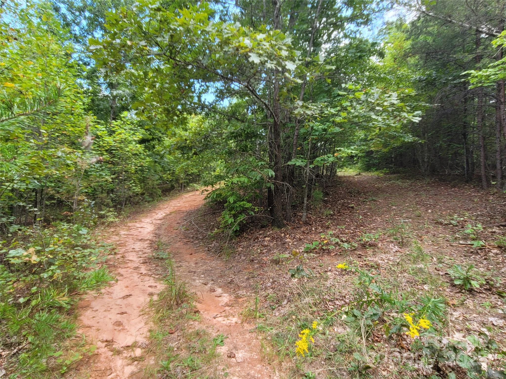 0 Big Level Road Mill Spring NC 28756