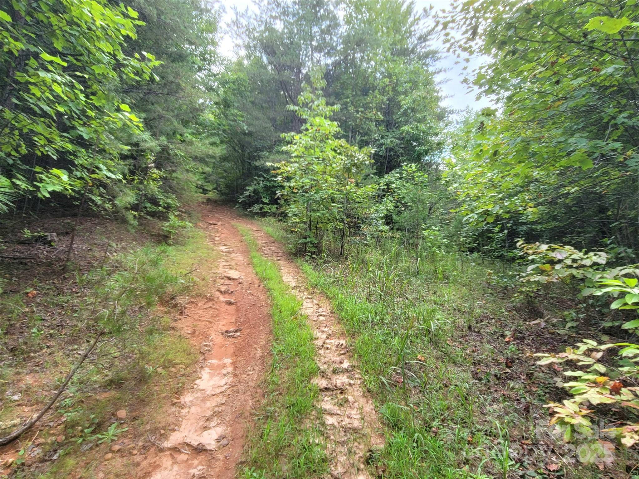 0 Big Level Road Mill Spring NC 28756