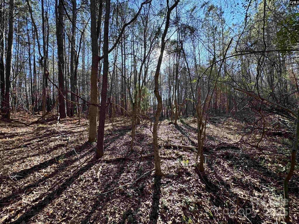 Tbd Theron Circle Lancaster SC 29720