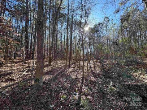 Tbd Theron Circle Lancaster SC 29720