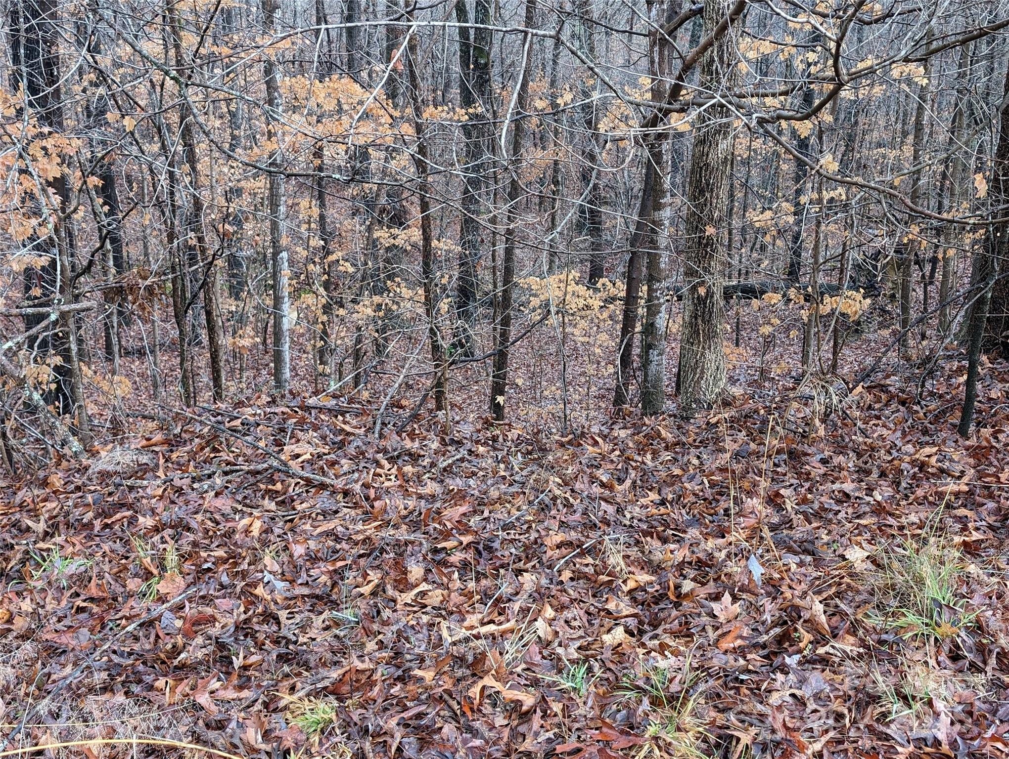 255 Bowers Road Thomasville NC 27360