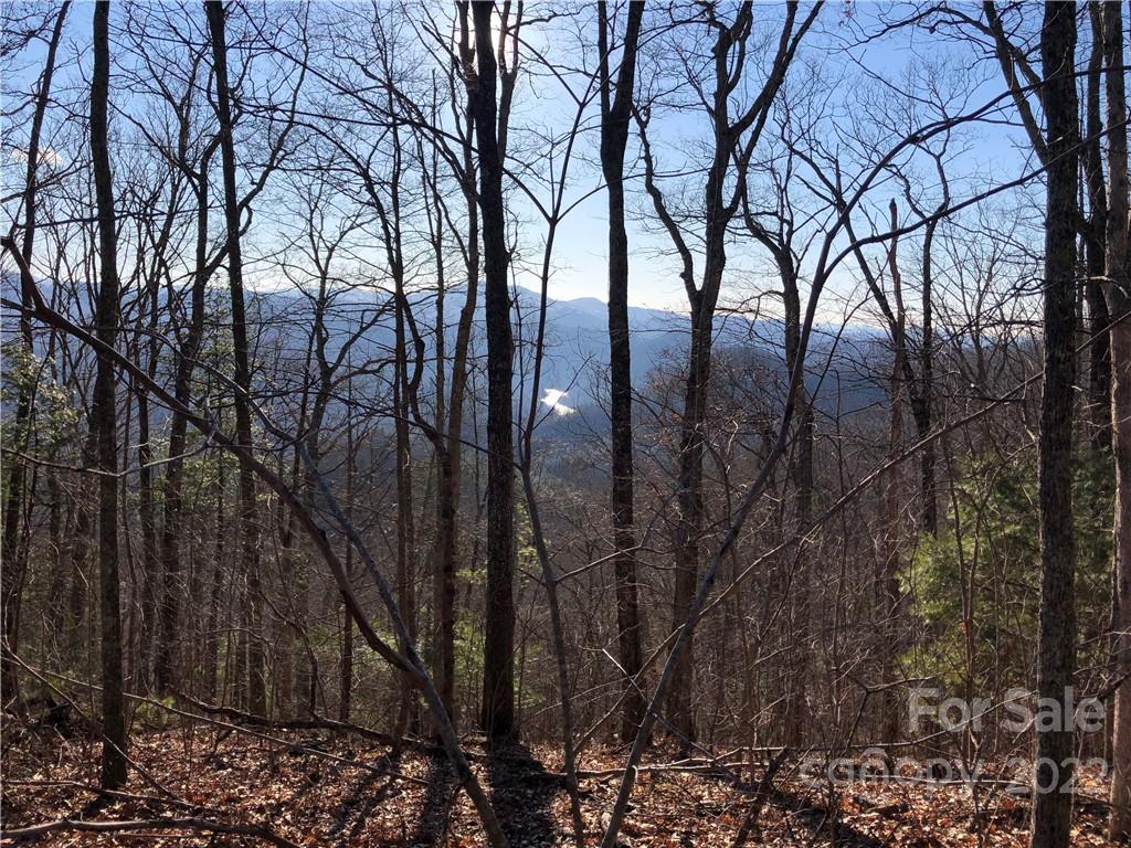 99999 Us 25-70 Highway Marshall NC 28753