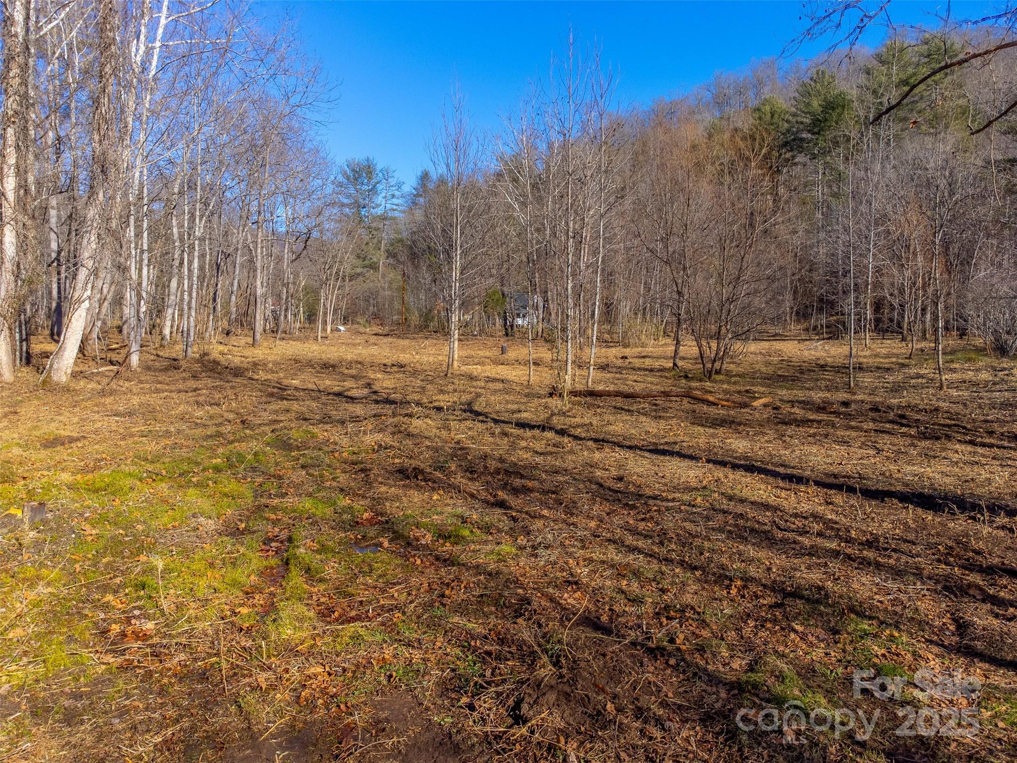 Lt 1,2,3 Caney Fork Road Cullowhee NC 28723