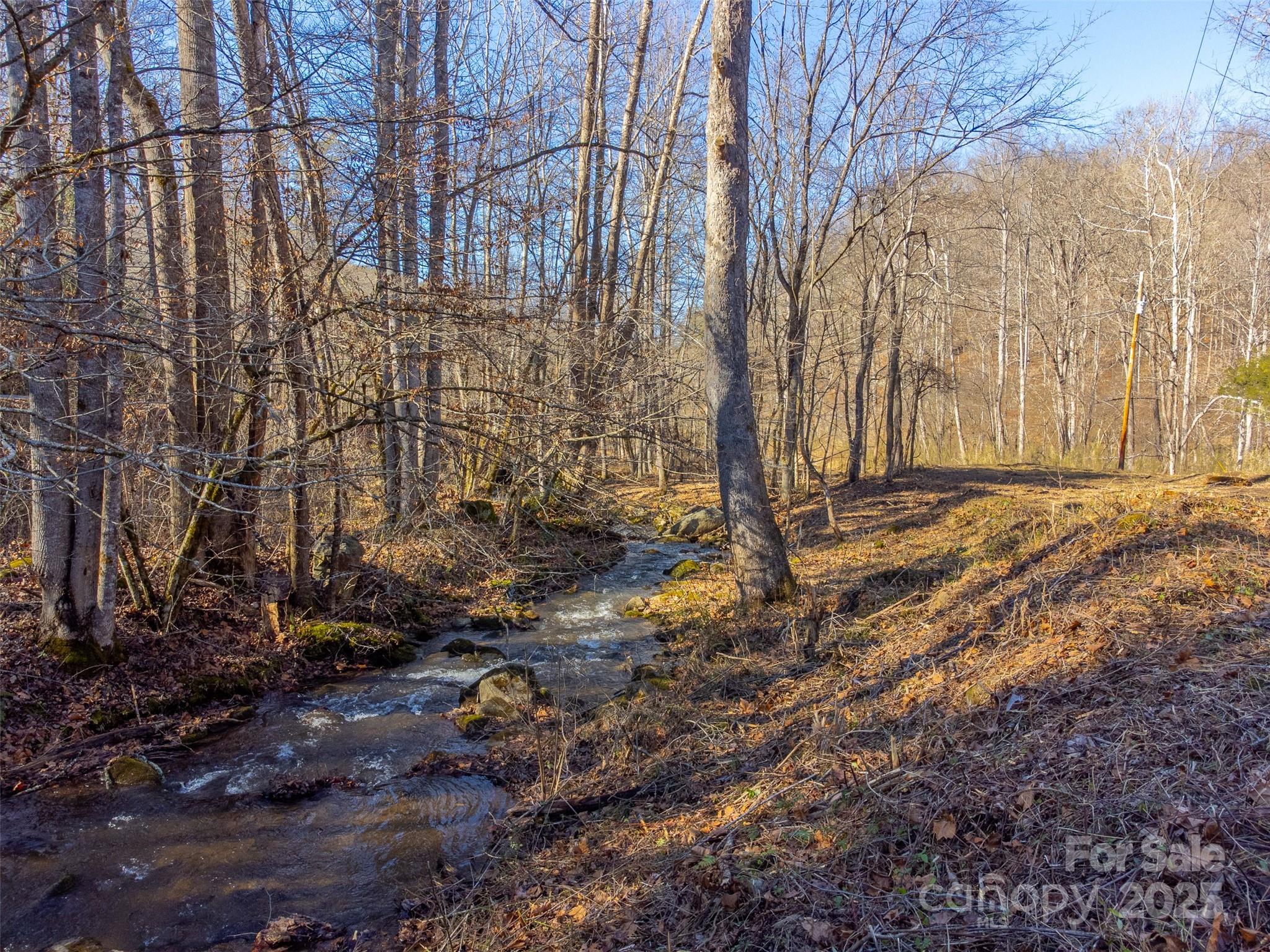 Lt 1,2,3 Caney Fork Road Cullowhee NC 28723