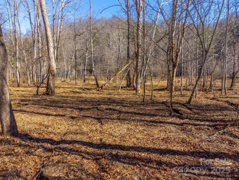 Lt 1,2,3 Caney Fork Road Cullowhee NC 28723
