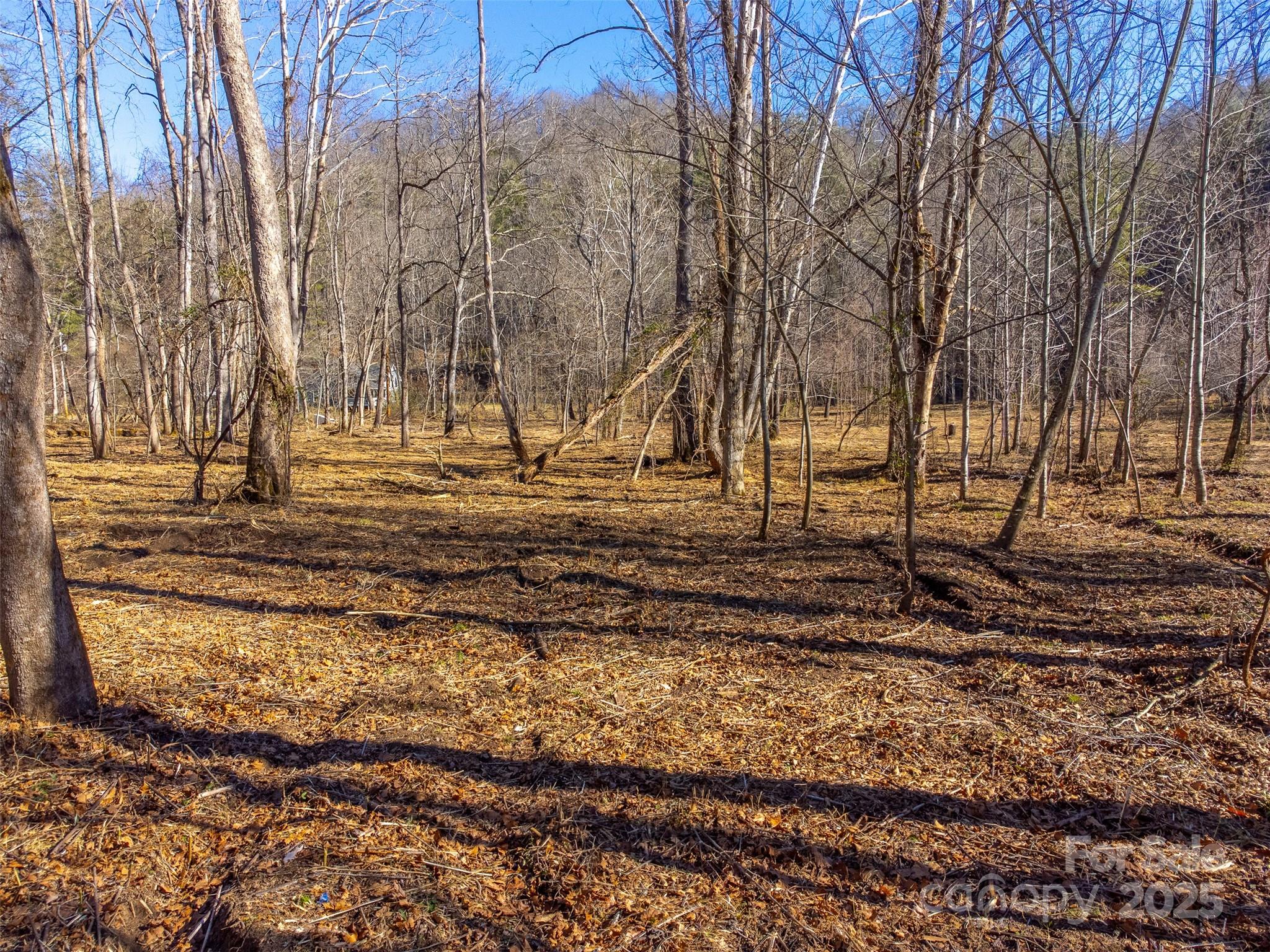Lt 1,2,3 Caney Fork Road Cullowhee NC 28723