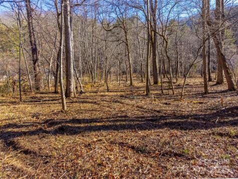 Lt 1,2,3 Caney Fork Road Cullowhee NC 28723