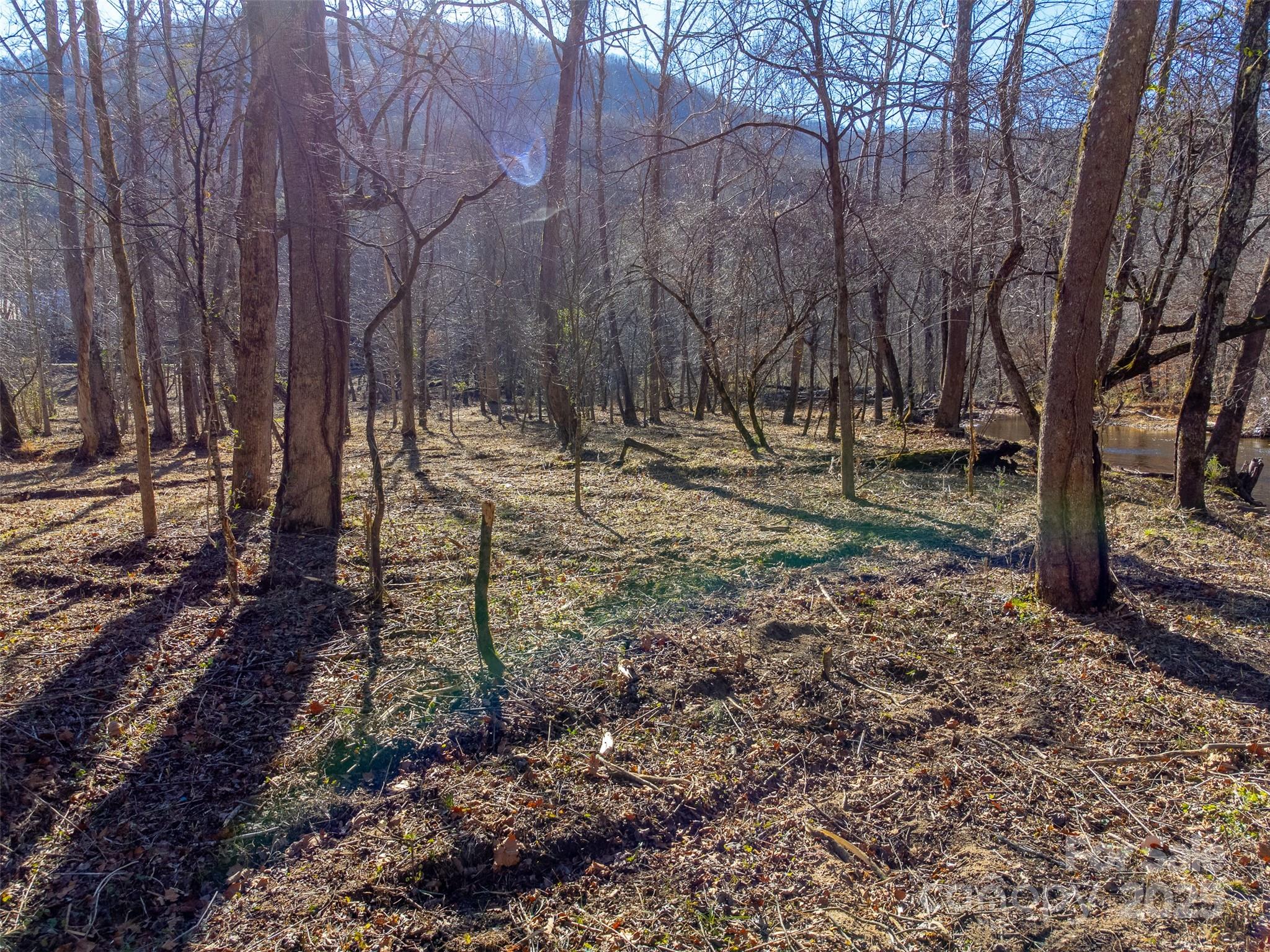 Lt 1,2,3 Caney Fork Road Cullowhee NC 28723