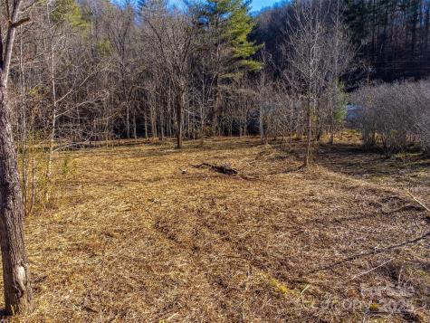 Lt 1,2,3 Caney Fork Road Cullowhee NC 28723