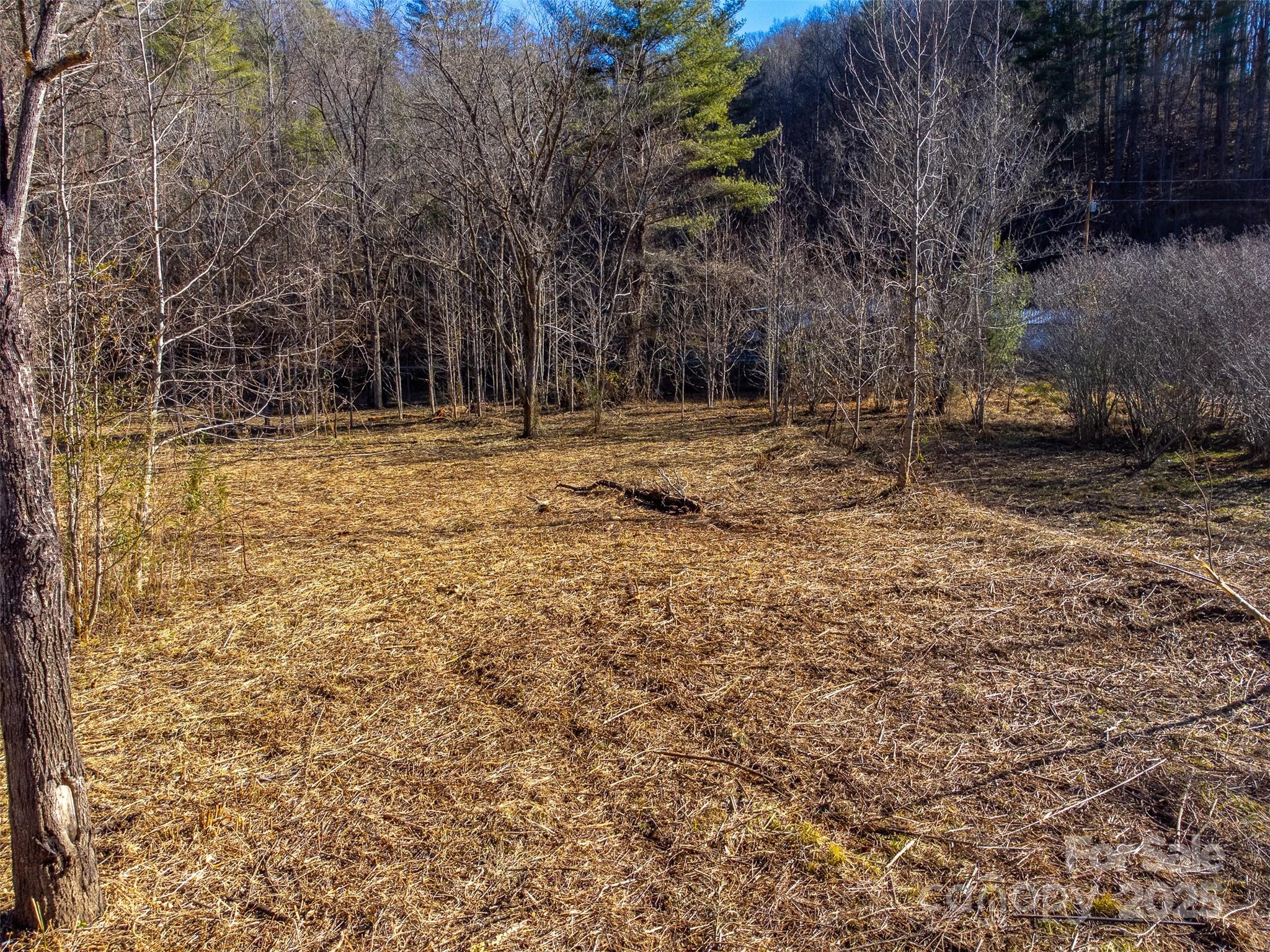 Lt 1,2,3 Caney Fork Road Cullowhee NC 28723