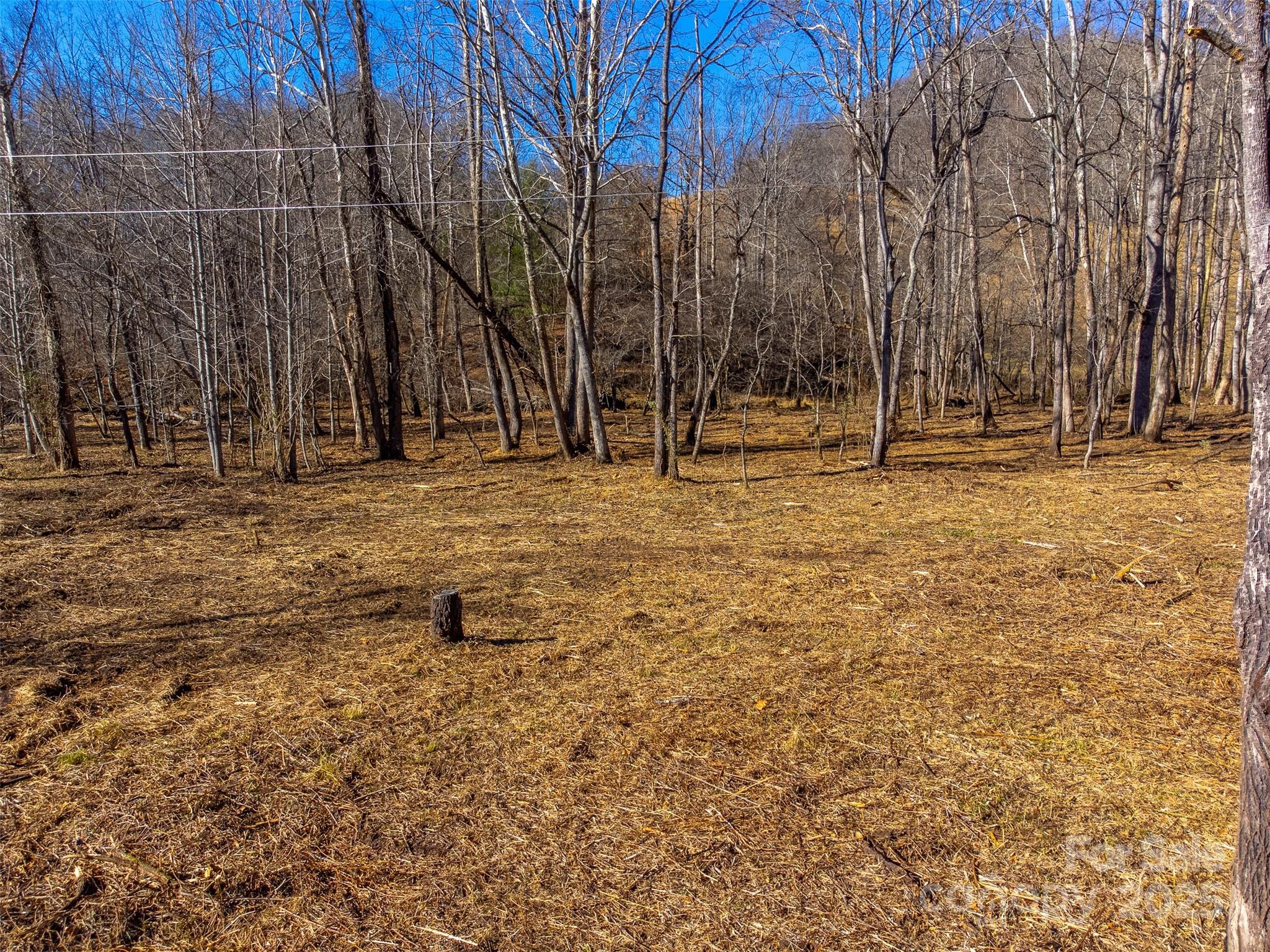 Lt 1,2,3 Caney Fork Road Cullowhee NC 28723