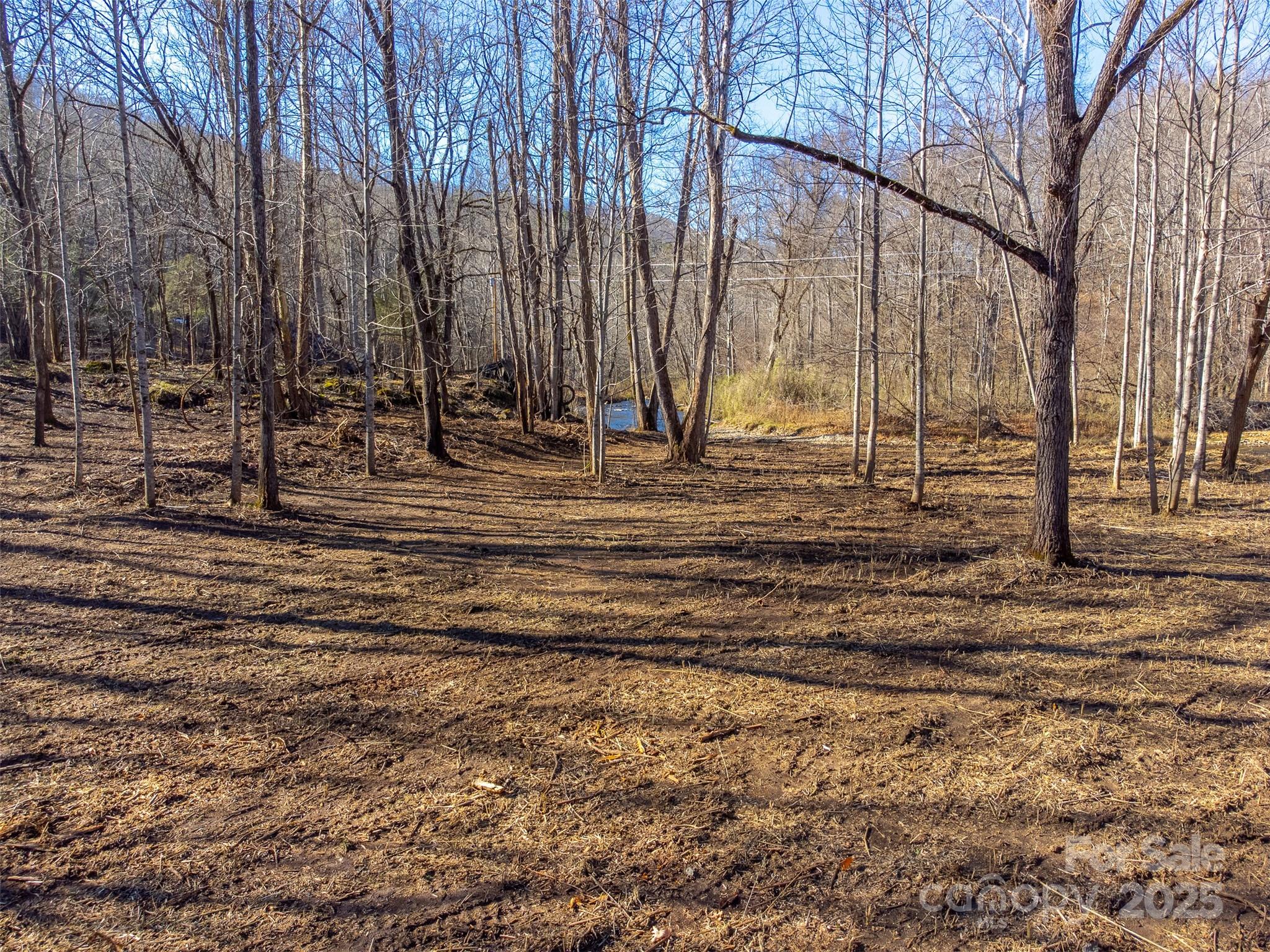Lt 1,2,3 Caney Fork Road Cullowhee NC 28723