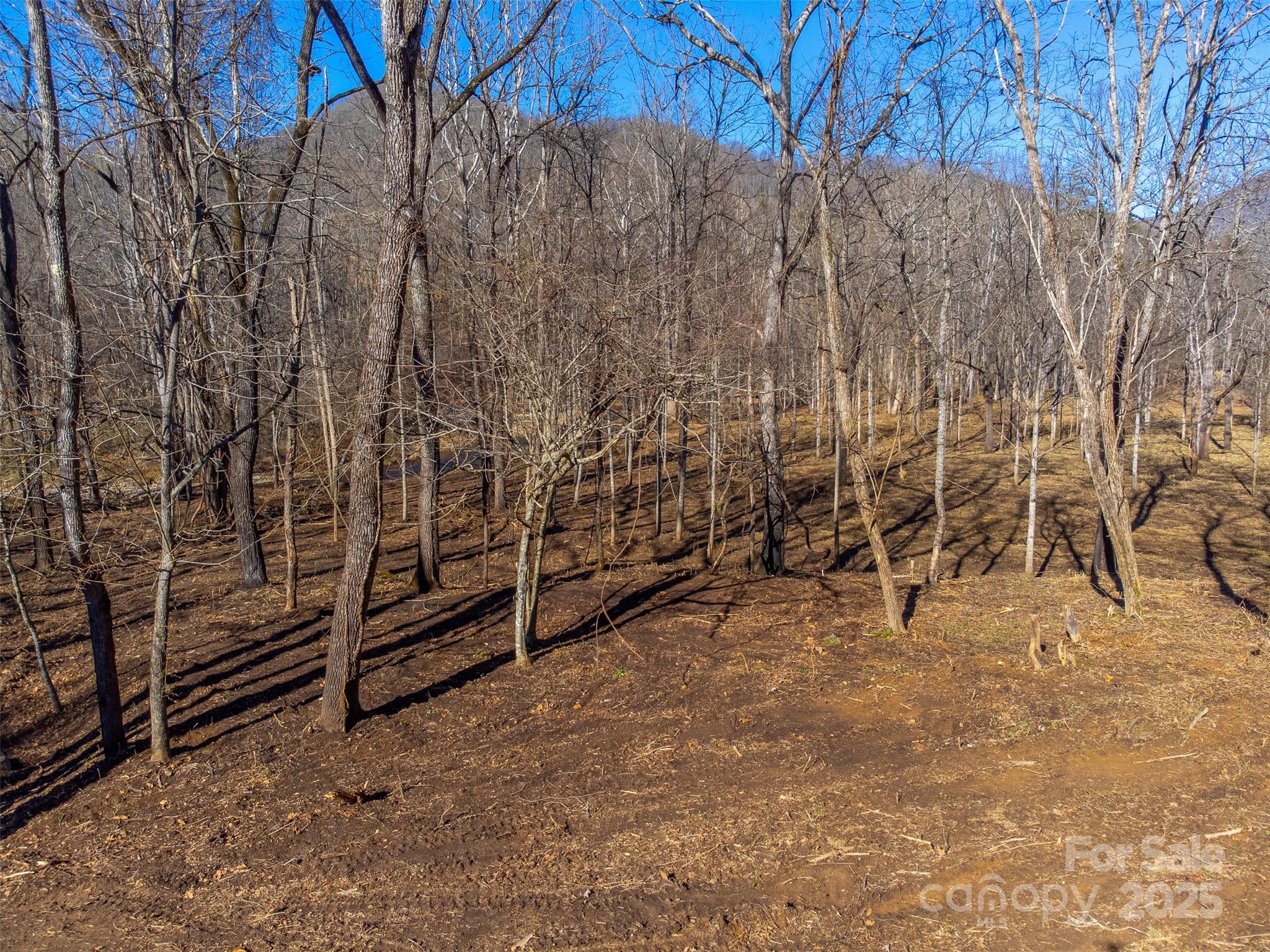 Lt 1,2,3 Caney Fork Road Cullowhee NC 28723
