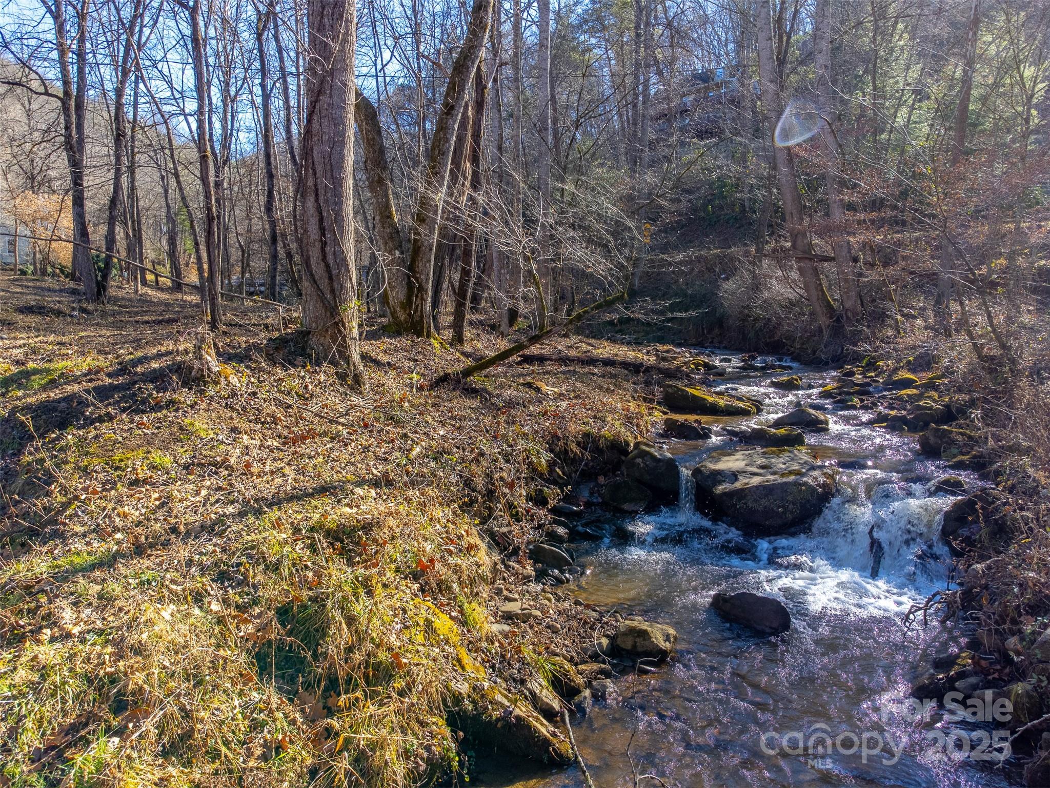 Lt 1,2,3 Caney Fork Road Cullowhee NC 28723