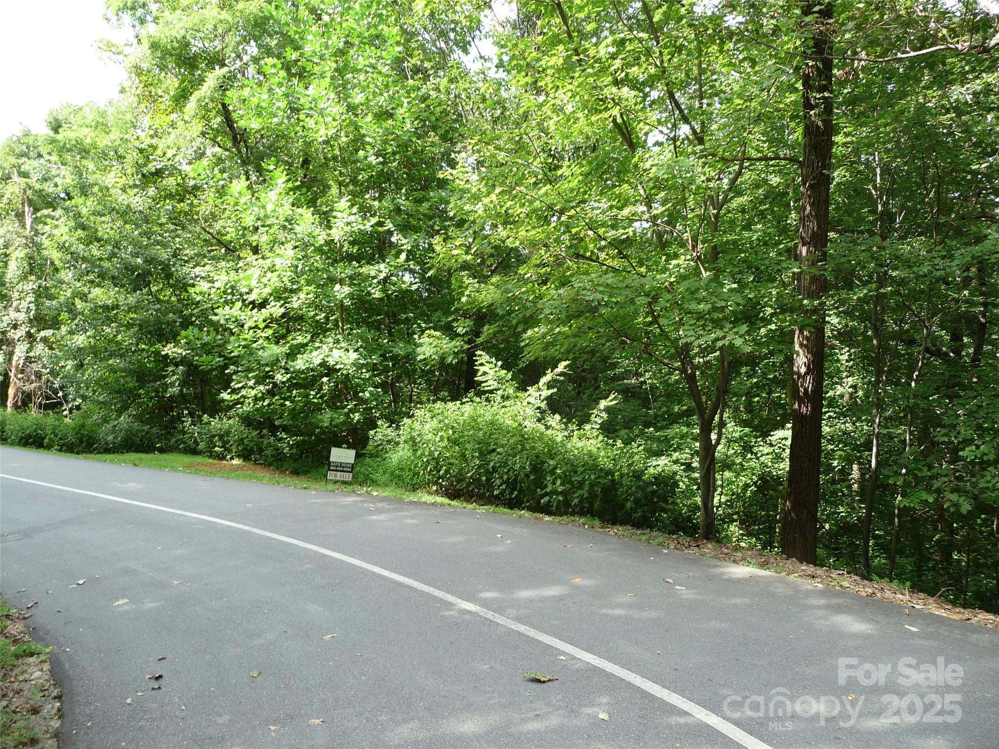 Lot 35 Morning Ride Drive Columbus NC 28722