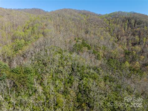9999 Wayehutta Road Cullowhee NC 28723