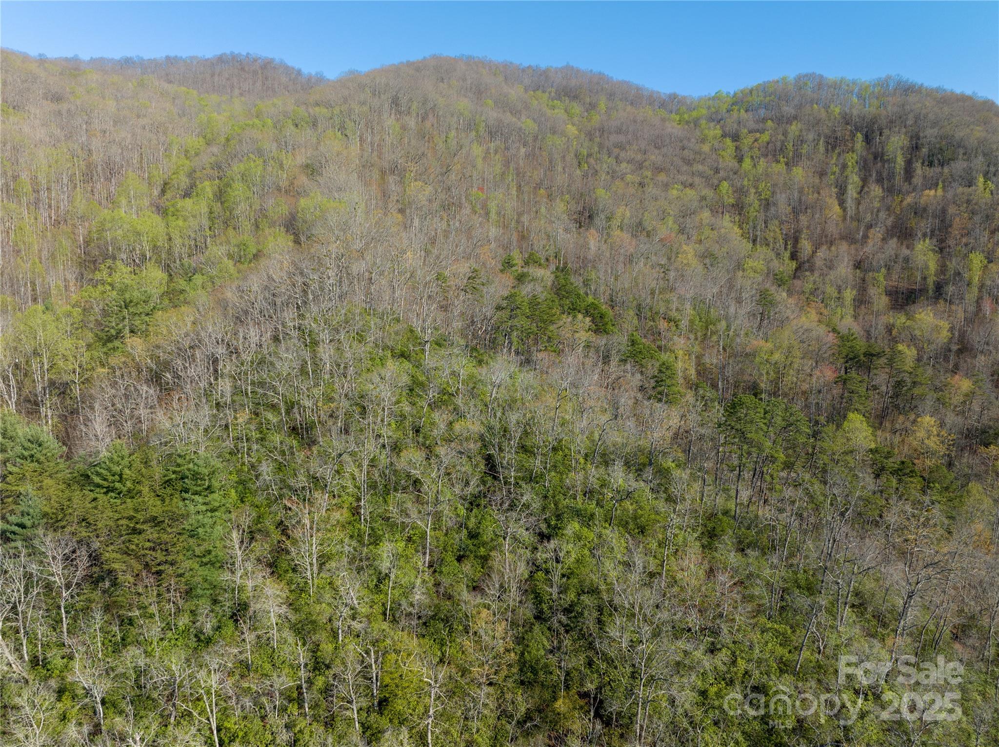 9999 Wayehutta Road Cullowhee NC 28723