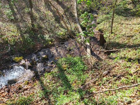 9999 Wayehutta Road Cullowhee NC 28723