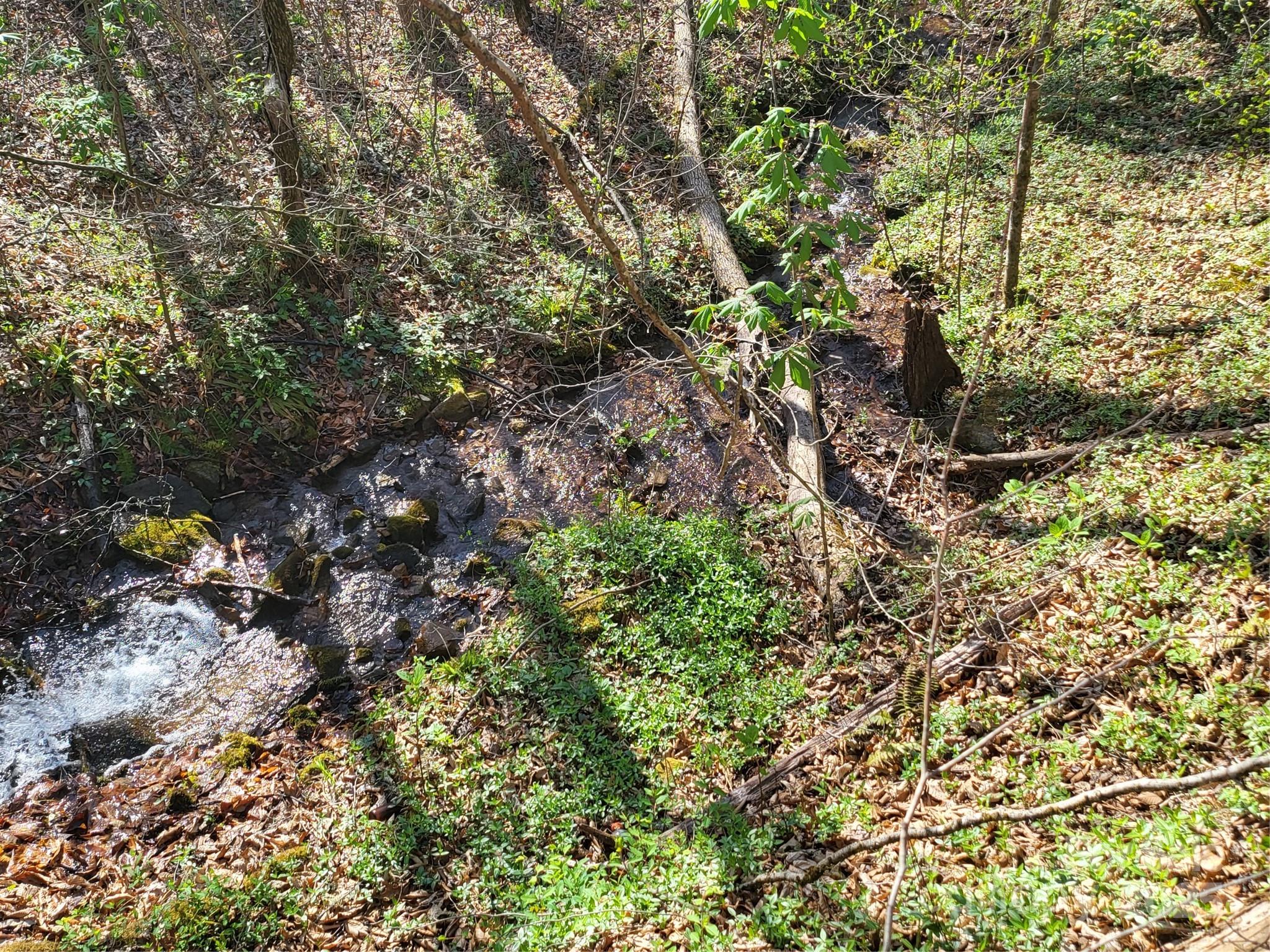 9999 Wayehutta Road Cullowhee NC 28723