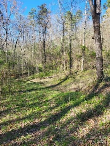 9999 Wayehutta Road Cullowhee NC 28723