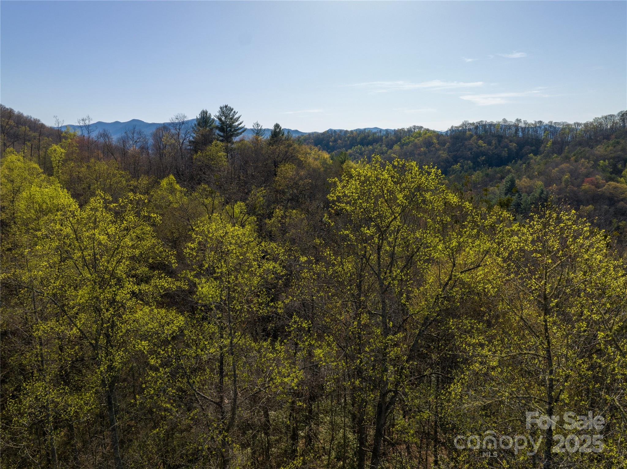 9999 Wayehutta Road Cullowhee NC 28723