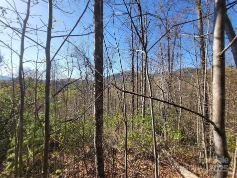 9999 Wayehutta Road Cullowhee NC 28723