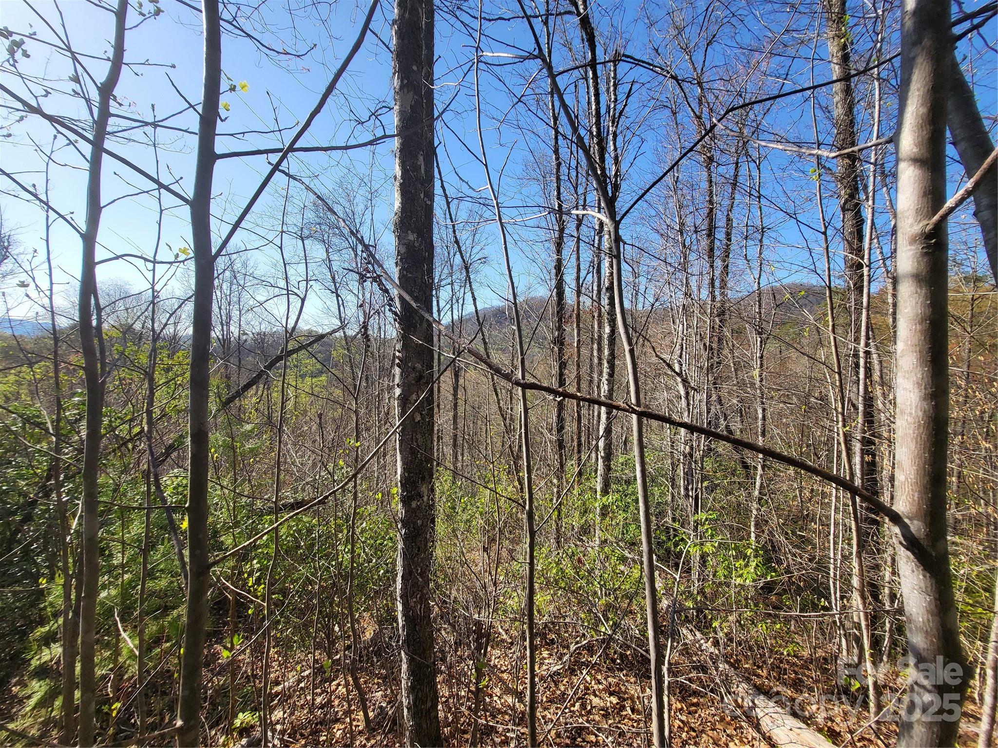 9999 Wayehutta Road Cullowhee NC 28723